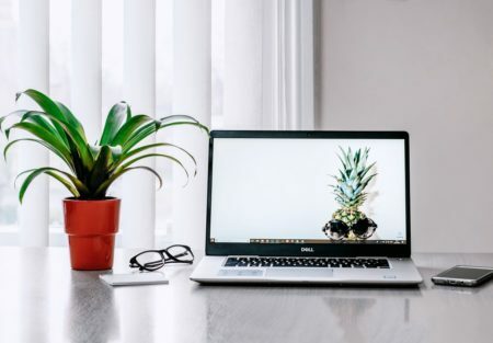 a laptop with a plant on the side