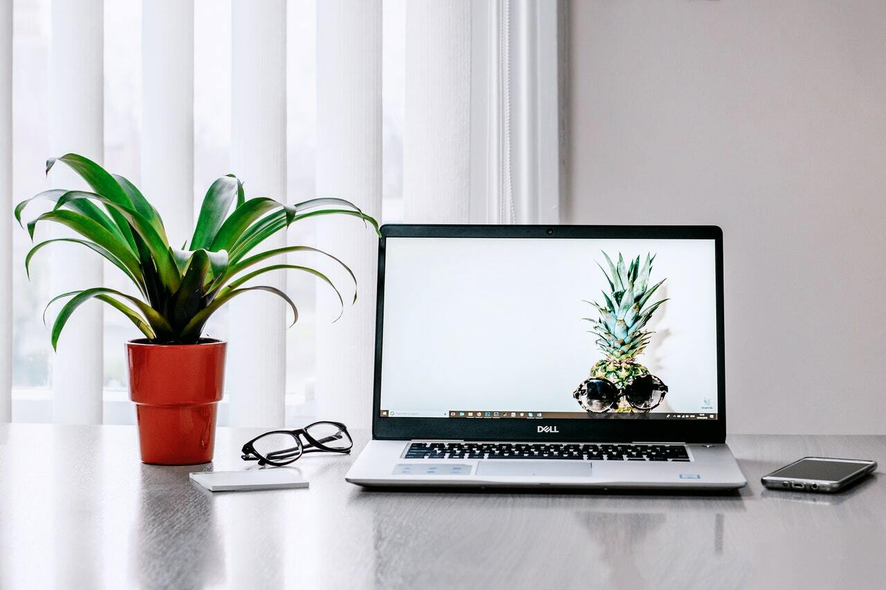 a laptop with a plant on the side
