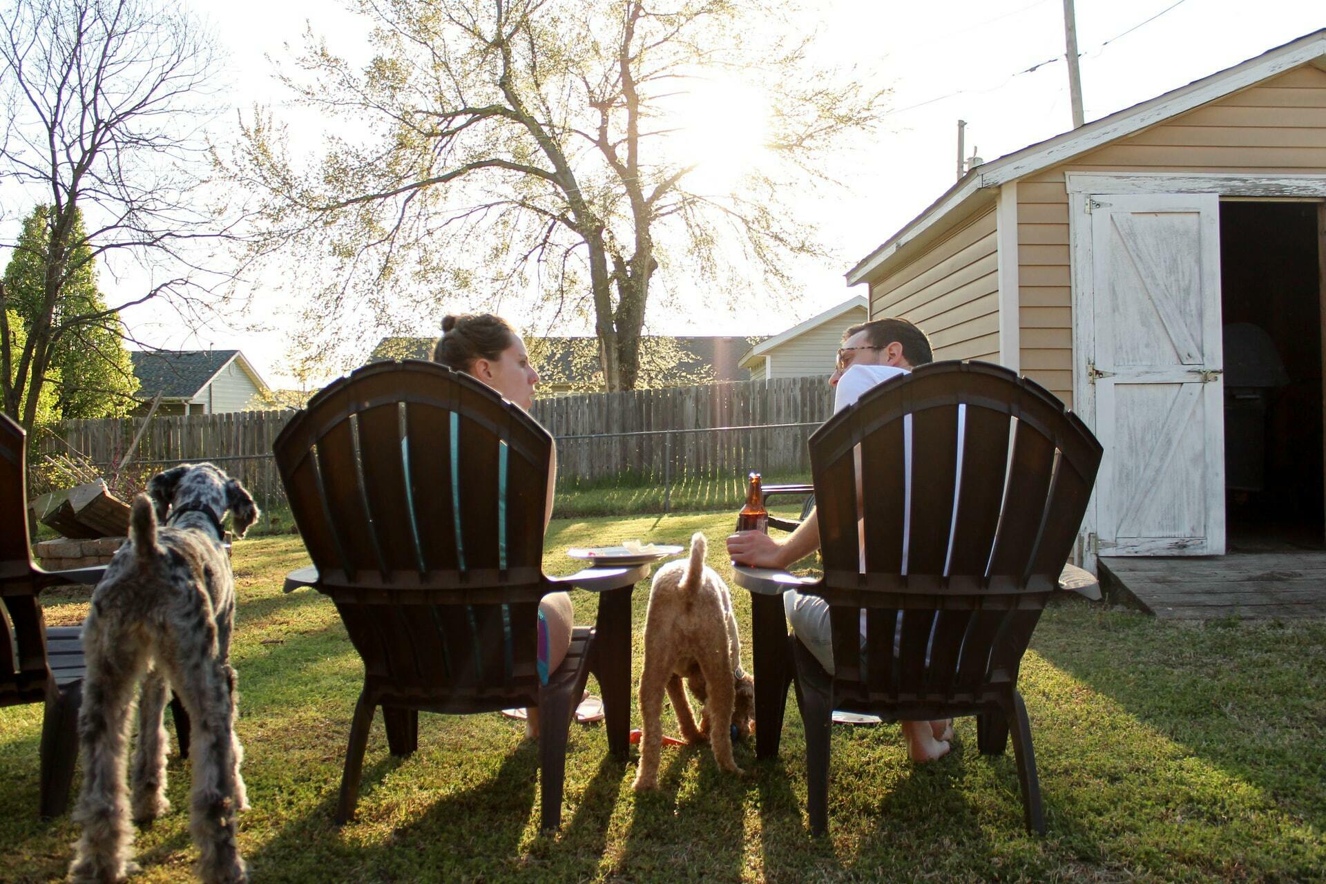 a person sitting in a chair with a group of dogs around him