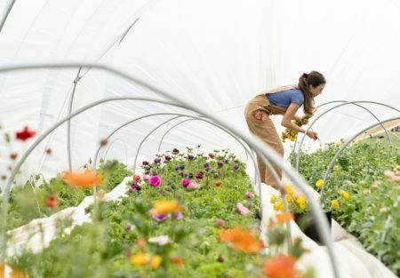 a person in a garden